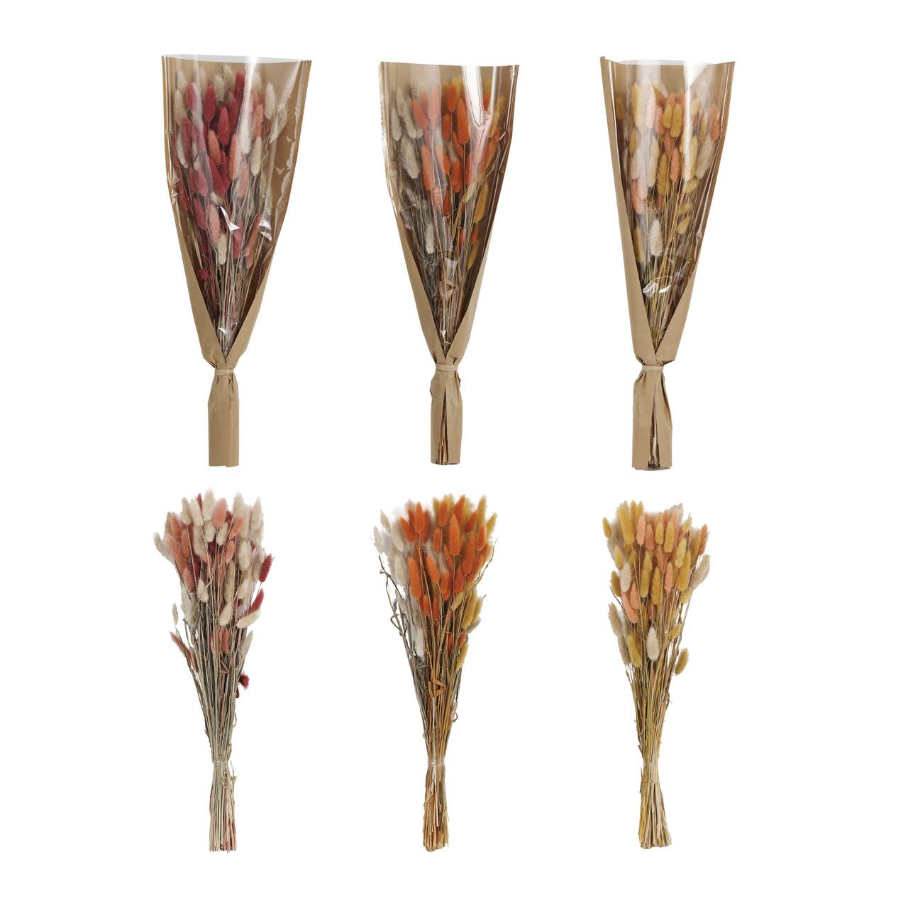 Hello Honey® 19.5" Dried Natural Bunny Tail Grass Bunch, 3ct.